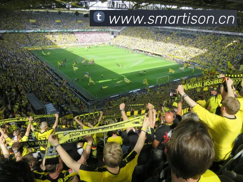 多媒体互动体验